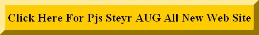 www.Pjs-steyraug.com